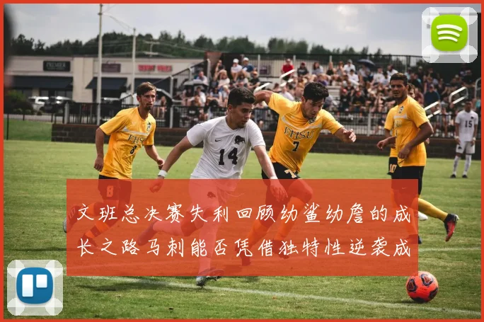 文班总决赛失利回顾幼鲨幼詹的成长之路马刺能否凭借独特性逆袭成功