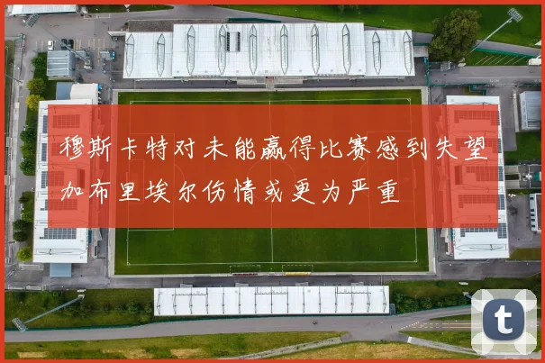穆斯卡特对未能赢得比赛感到失望加布里埃尔伤情或更为严重